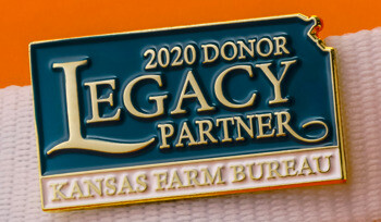 Soft Enamel - Lapel Pins